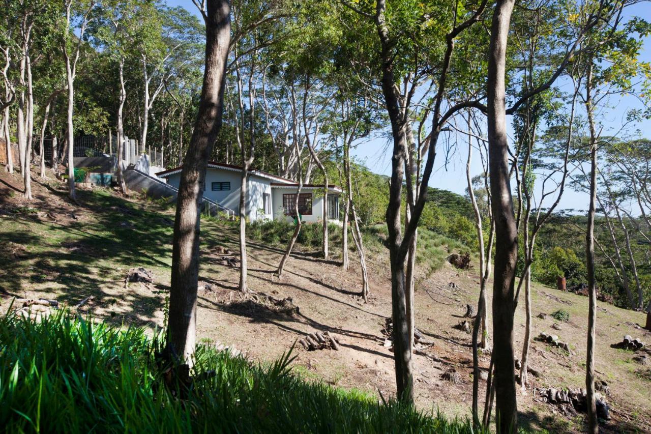 Green Cottage Chamarel Eksteriør billede