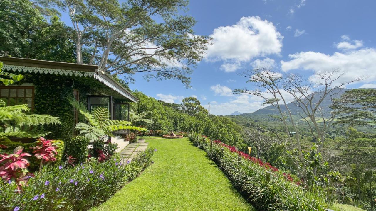Green Cottage Chamarel Eksteriør billede