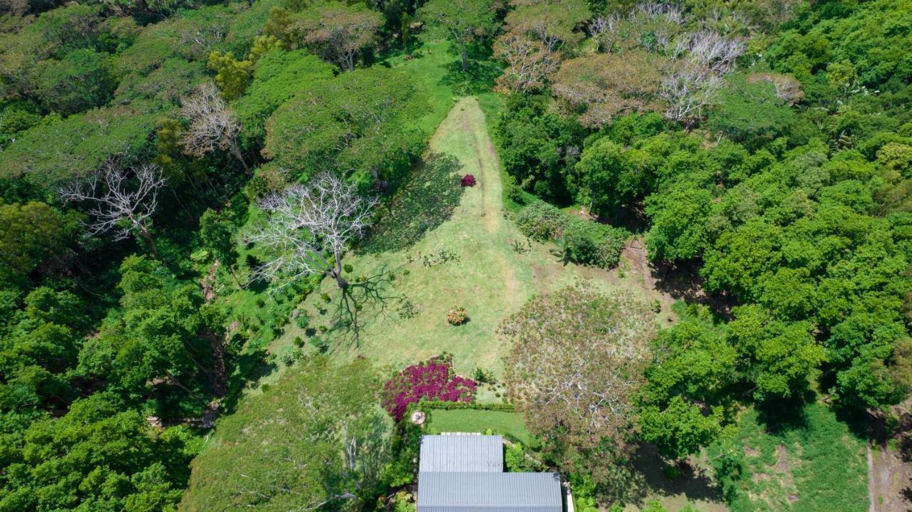 Green Cottage Chamarel Eksteriør billede