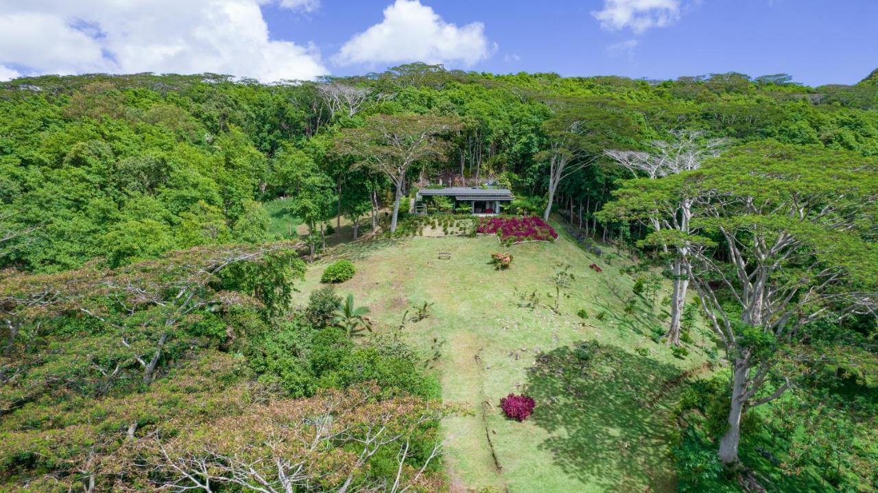 Green Cottage Chamarel Eksteriør billede